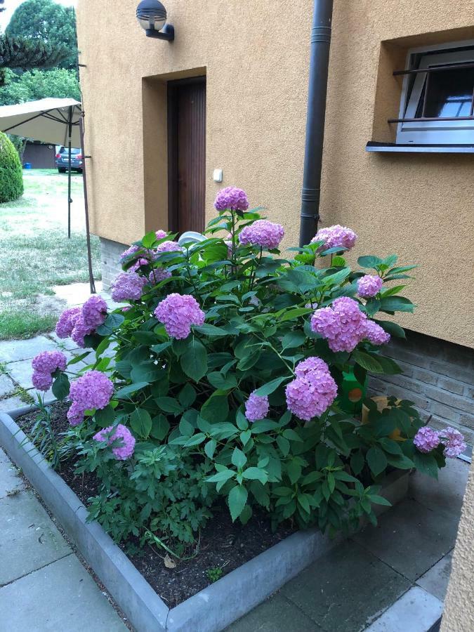 Guest house Trojska